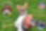 football.jpg